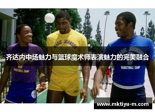齐达内中场魅力与篮球魔术师表演魅力的完美融合