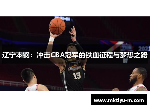 辽宁本钢：冲击CBA冠军的铁血征程与梦想之路